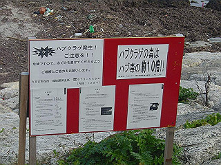20061222190_thumb.jpg