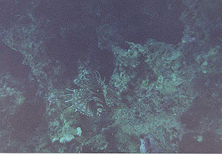 2006122314_thumb.jpg