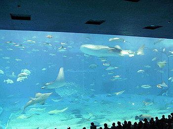 20061222022_thumb.jpg