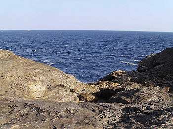 20061222043_thumb.jpg