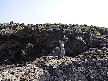 20061222044_thumb.jpg