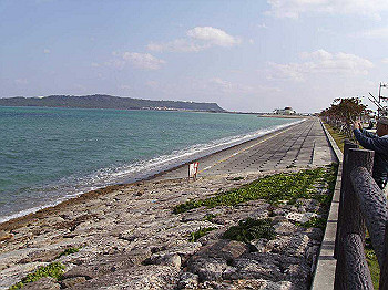 20061222052_thumb.jpg