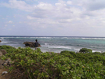 20061222059_thumb.jpg