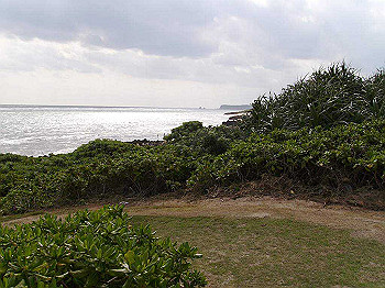 20061222060_thumb.jpg