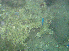 img_0047_thumb.jpg