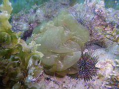 p1010006_thumb.jpg