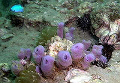 p10100071_thumb.jpg