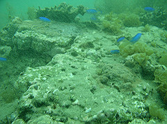 p1010008_thumb.jpg