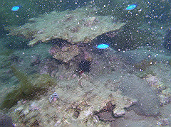 p1010014_thumb.jpg