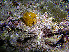 p1010018_thumb.jpg