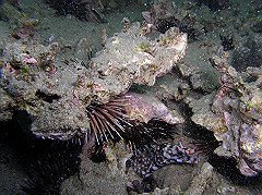 p1010023_thumb.jpg
