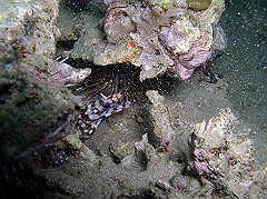 p1010027_thumb.jpg