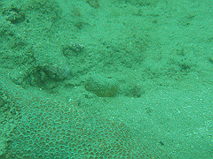 p4280009_thumb.jpg
