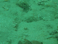 p4280010_thumb.jpg