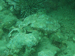 p4280011_thumb.jpg