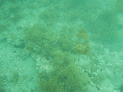 p4280015_thumb.jpg