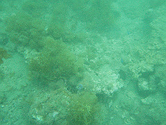 p4280016_thumb.jpg