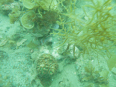 p4280017_thumb.jpg