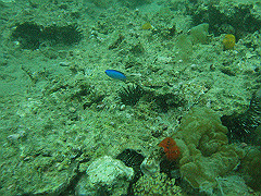 p4280020_thumb.jpg
