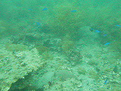 p4280021_thumb.jpg