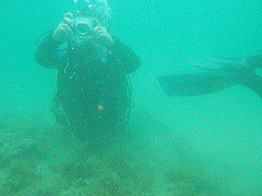 p4280022_thumb.jpg