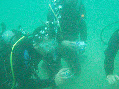 p4280025_thumb.jpg