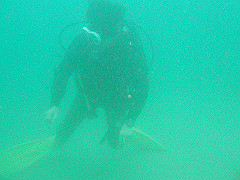 p4280026_thumb.jpg