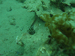 p4280030_thumb.jpg