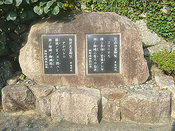 dsc02558_thumb.jpg
