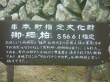 dsc02564_thumb.jpg