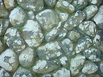 dsc02567_thumb.jpg