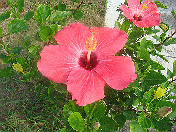 dsc02592_thumb.jpg