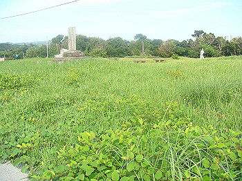 dsc02595_thumb.jpg
