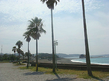 dsc02613_thumb.jpg