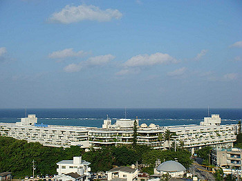 dsc05498_thumb.jpg