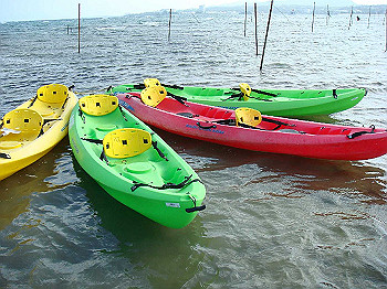 dsc05507_thumb.jpg