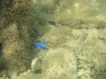 dsc05522_thumb.jpg
