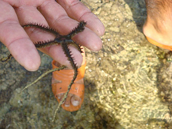 dsc05525_thumb.jpg