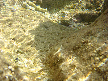 dsc05529_thumb.jpg