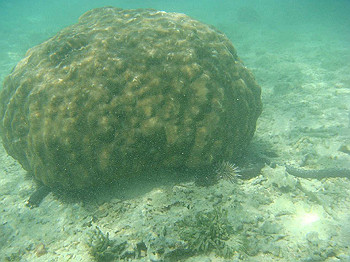 dsc05535_thumb.jpg