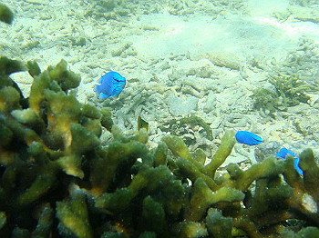 dsc05570_thumb.jpg