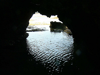 dsc05630_thumb.jpg
