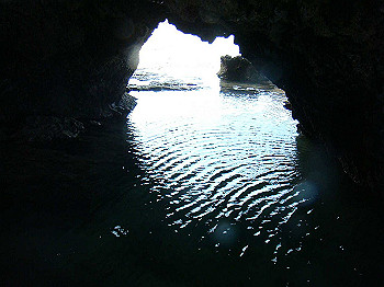 dsc05631_thumb.jpg