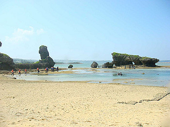 dsc05638_thumb.jpg
