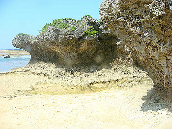 dsc05639_thumb.jpg