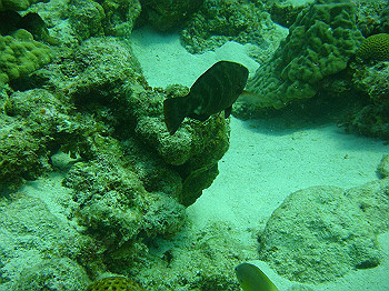 dsc05712_thumb.jpg