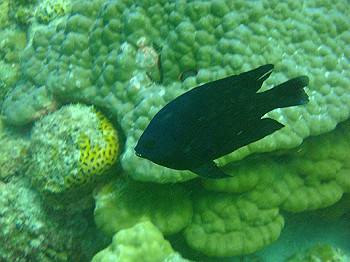 dsc05720_thumb.jpg