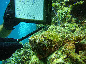 dsc05727_thumb.jpg