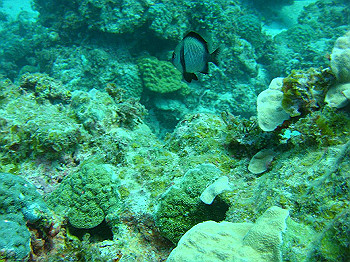 dsc05736_thumb.jpg