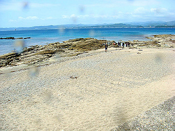 dsc03186_thumb.jpg